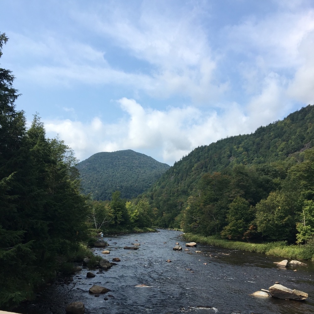 Meet your Posher, Basya